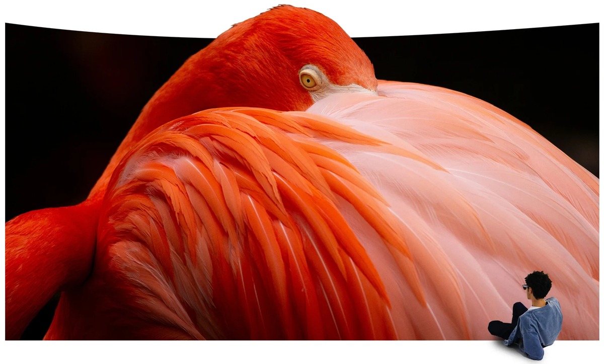 rayneo air 3s product image