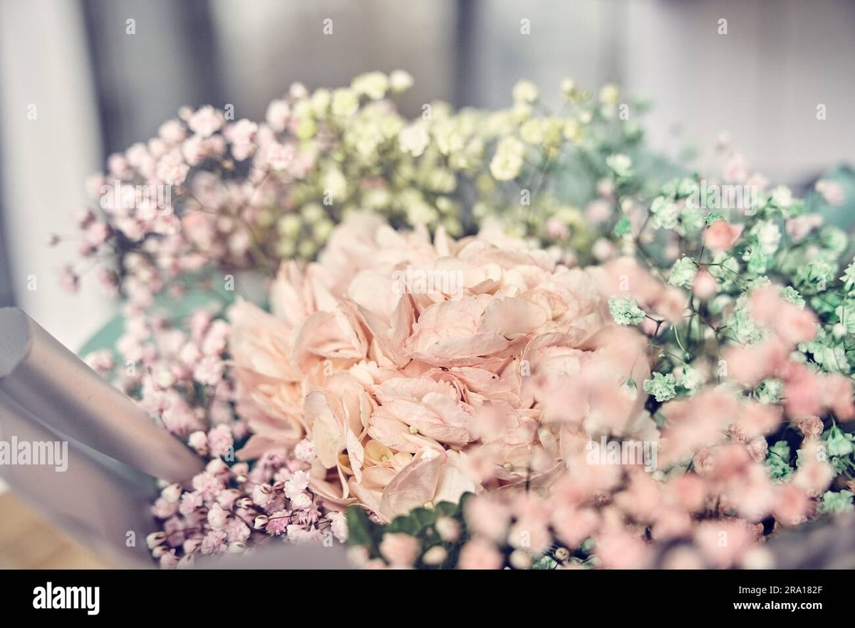 semrush product image