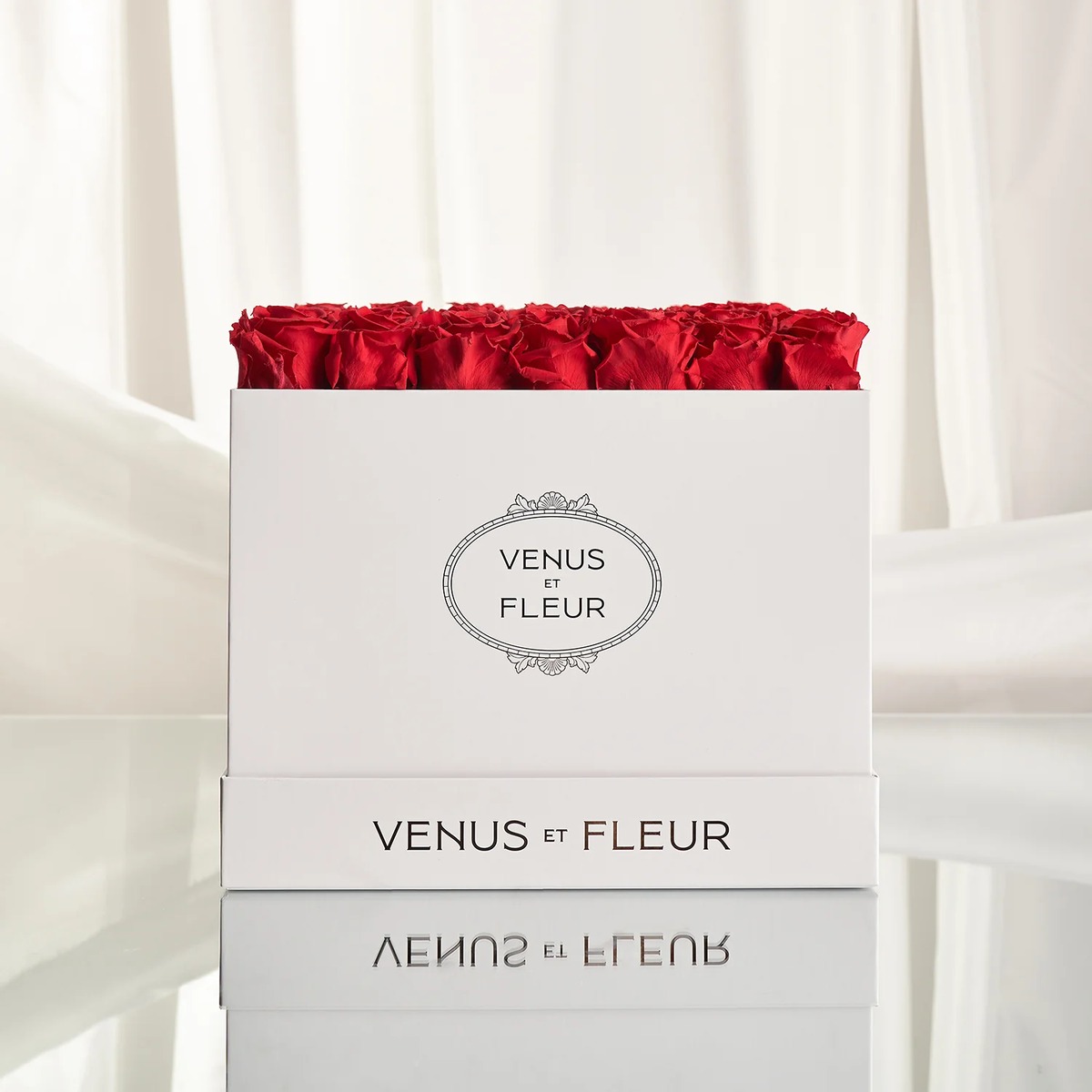 venus et fleur product image