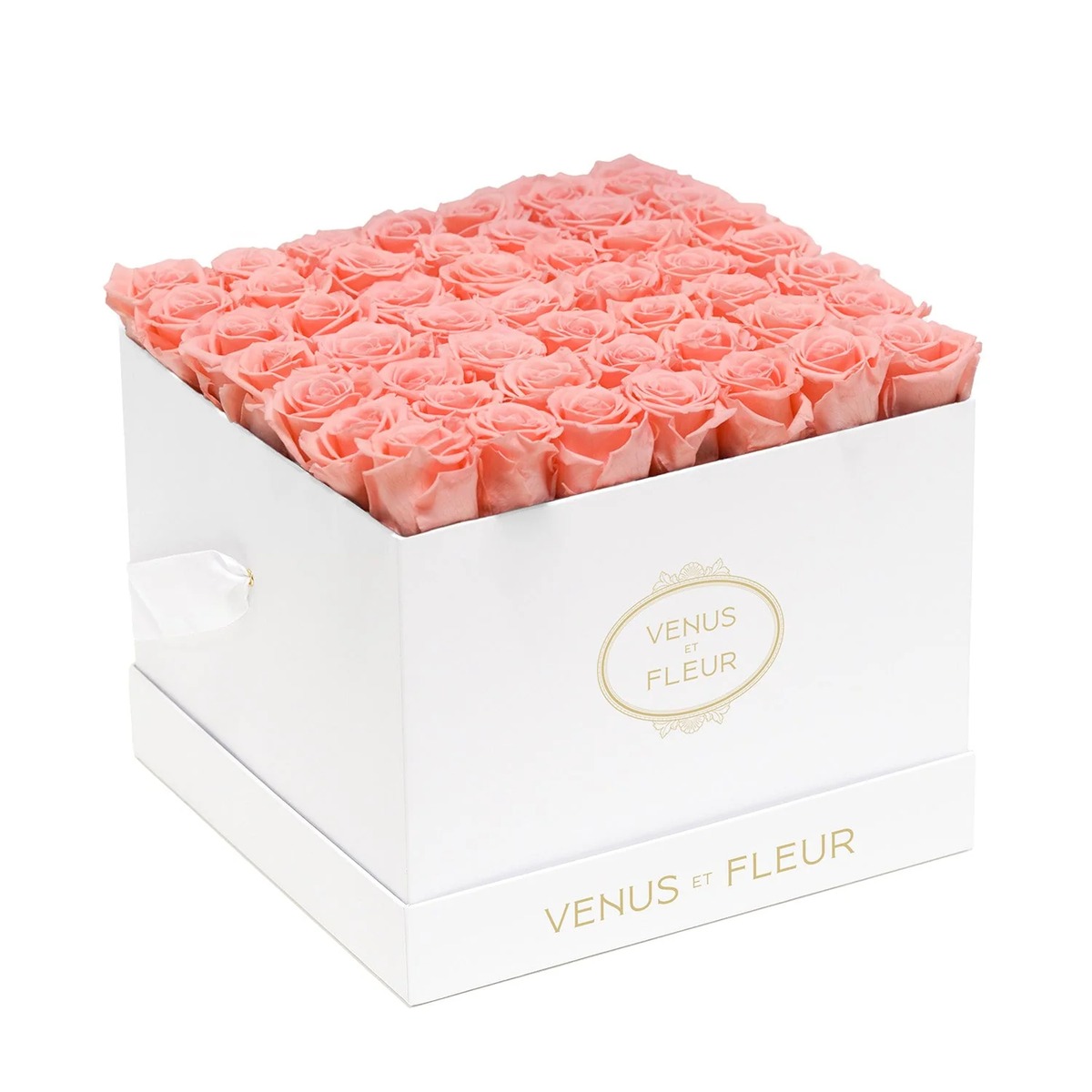 venus et fleur product image
